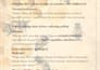 be reliable native urdu translator for english media scripts